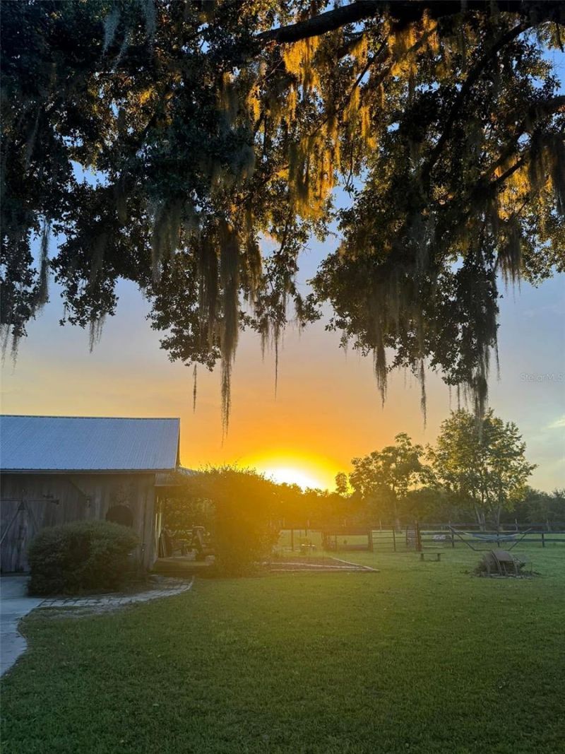 1636 Lake Ella Road, Fruitland Park, FL 34731 Photo