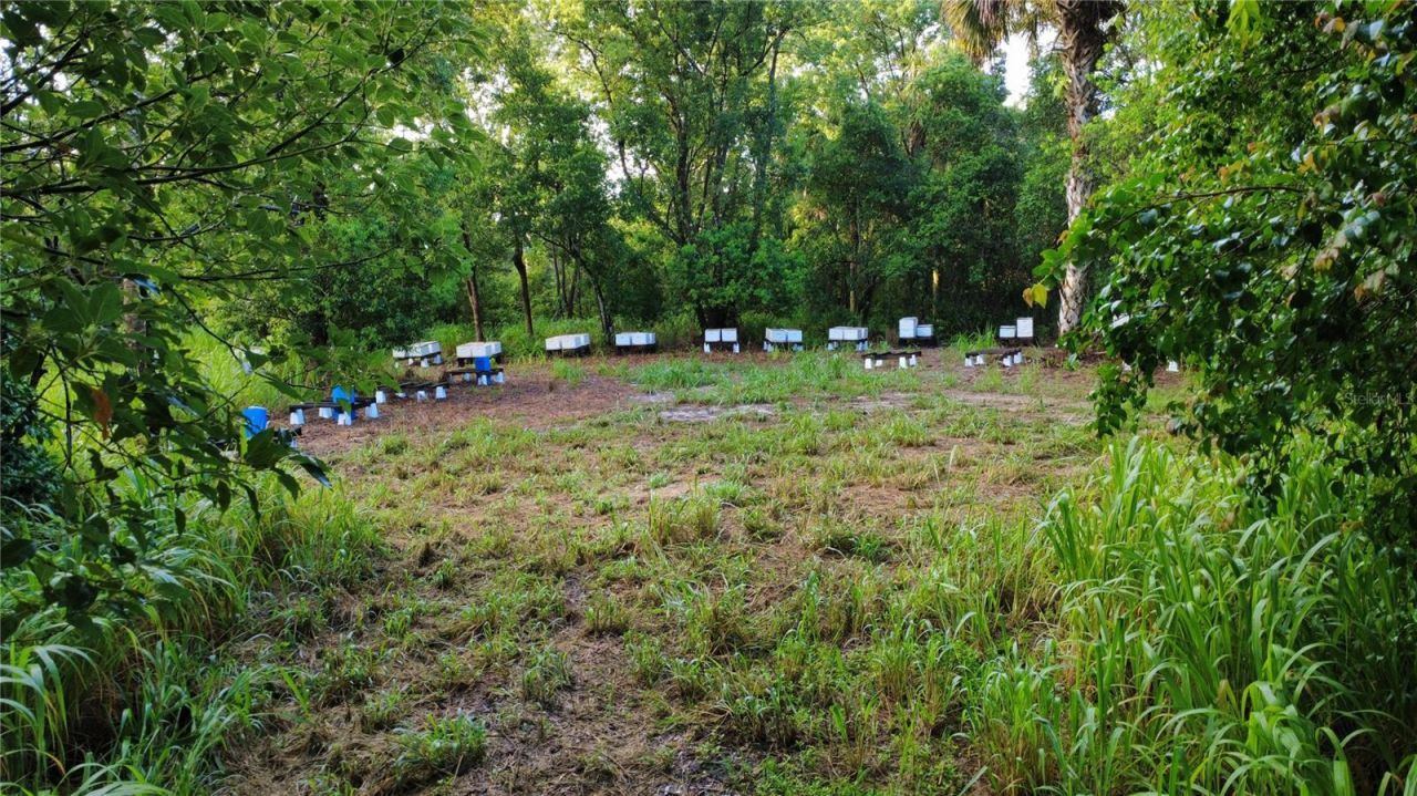 327 Beaverbrook Lane , Oak Hill, FL 32759 Photo