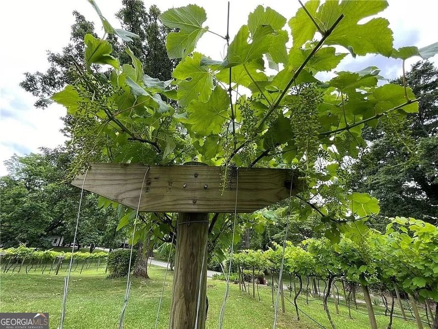 Property Image 52
