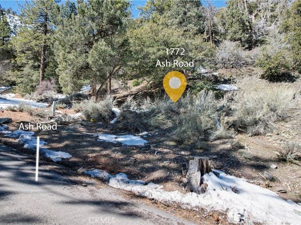 1772 Ash, Wrightwood, CA 92397