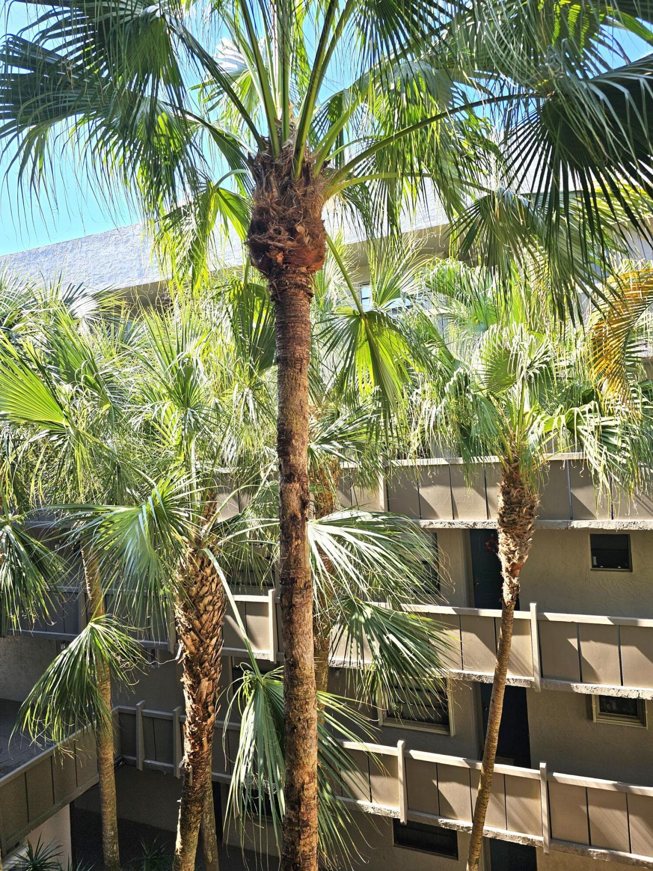 1001 Colony Point Circle, Unit 417, Pembroke Pines, FL 33026 Photo