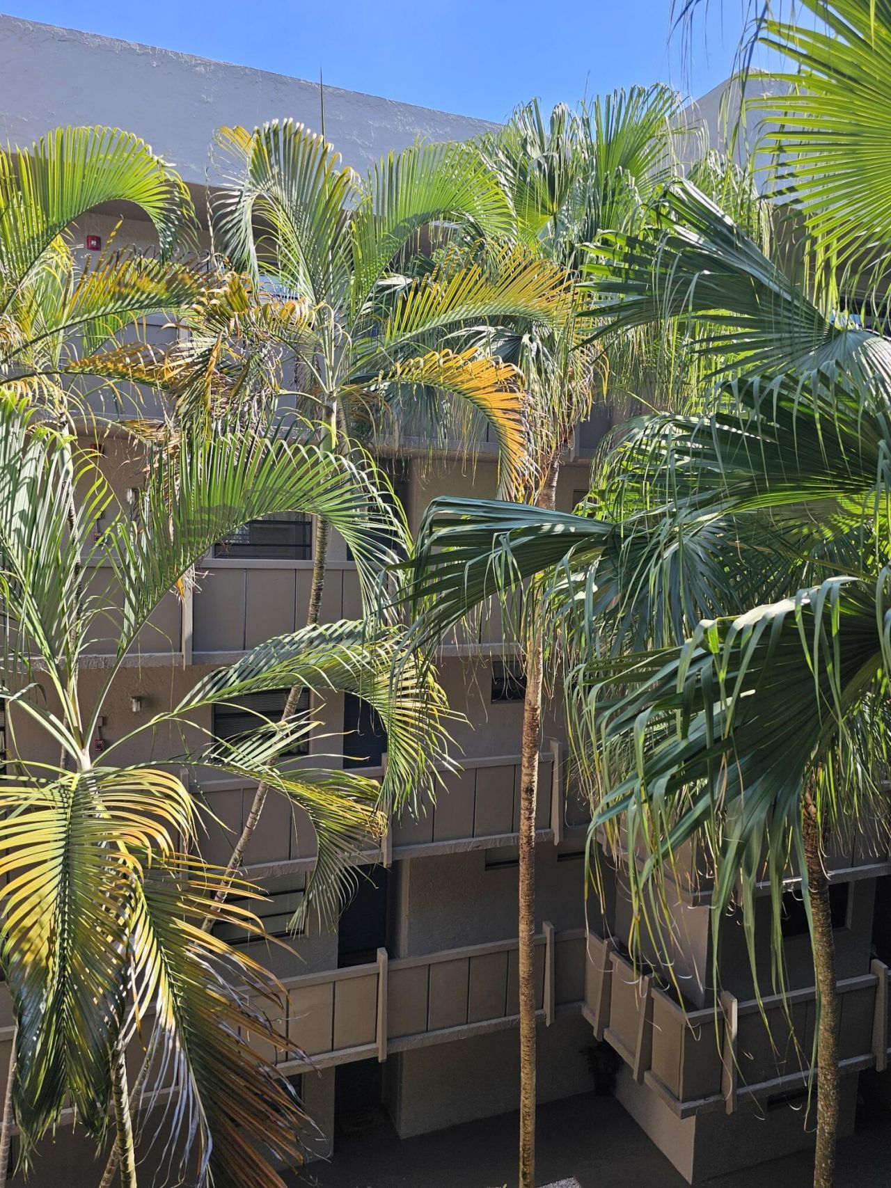 1001 Colony Point Circle, Unit 417, Pembroke Pines, FL 33026 Photo