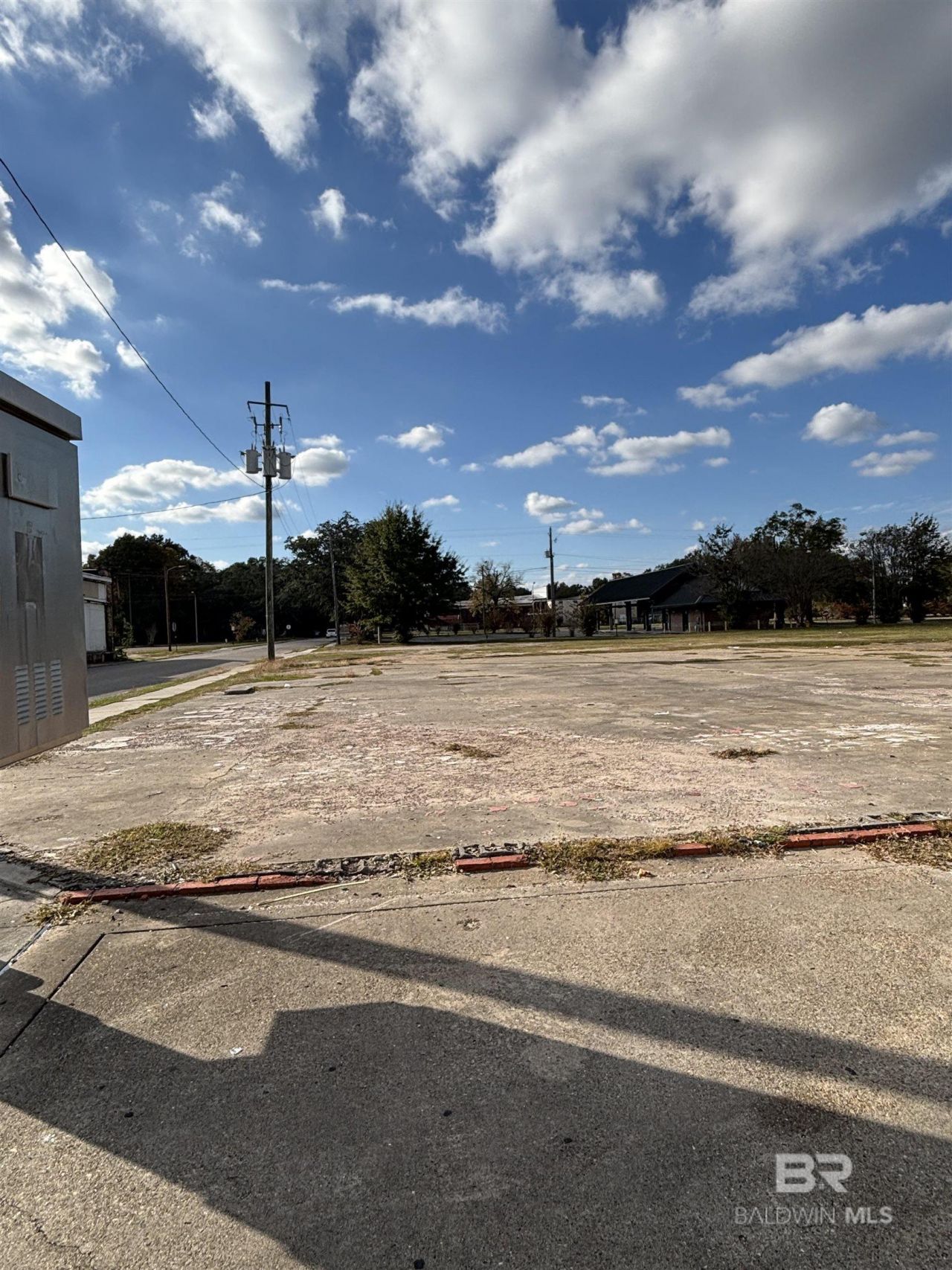 236 S Wilson Avenue, Mobile, AL 36610 Main Photo