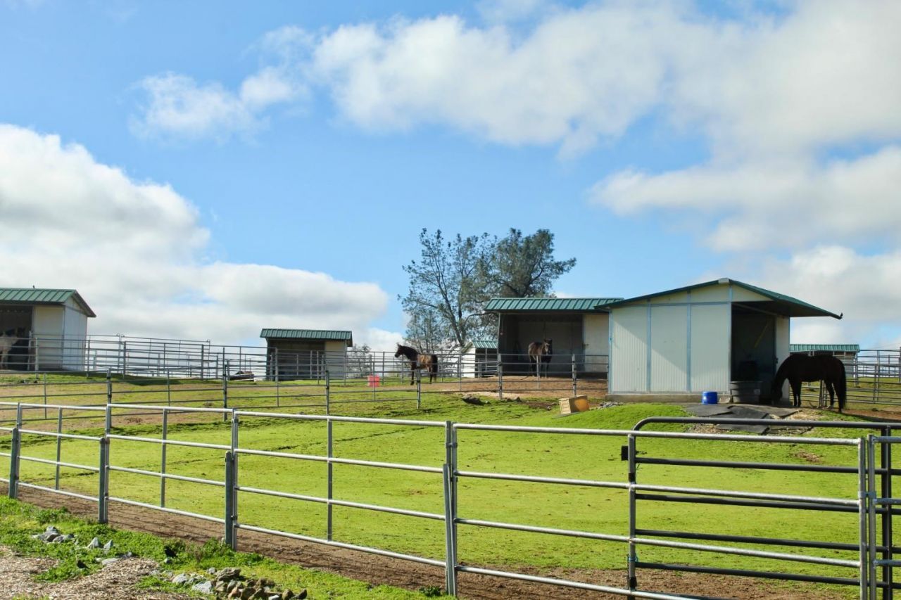 1869 Wild Cat Ct, Cool, CA 95614 Photo