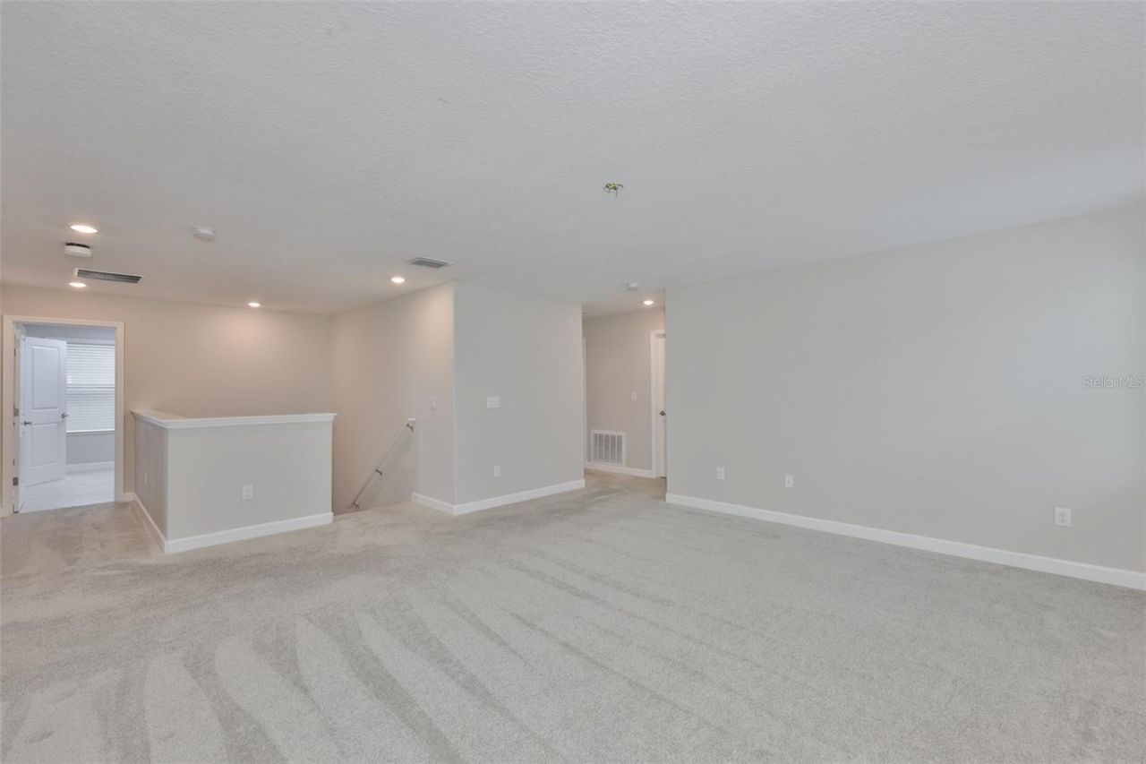 11454 Freshwater Ridge Drive, Riverview, FL 33569 Photo