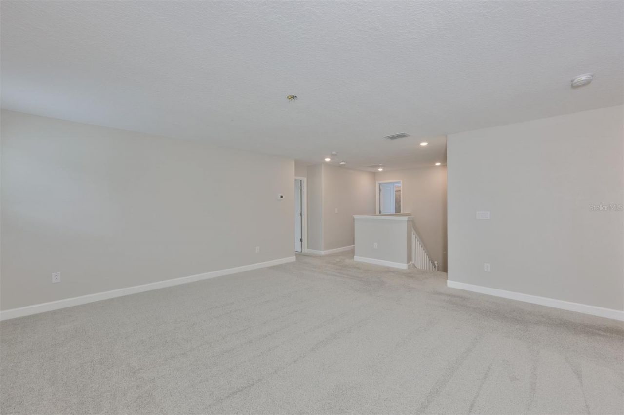 11454 Freshwater Ridge Drive, Riverview, FL 33569 Photo