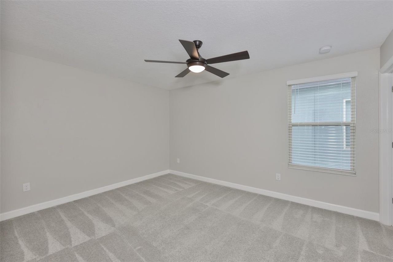 11454 Freshwater Ridge Drive, Riverview, FL 33569 Photo