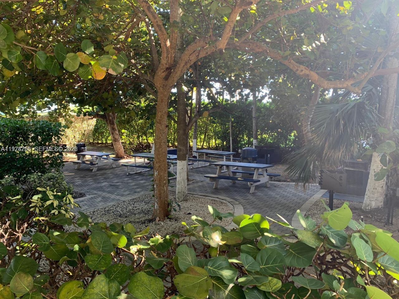 8877 Collins Avenue , Unit 506, Surfside, FL 33154 Photo