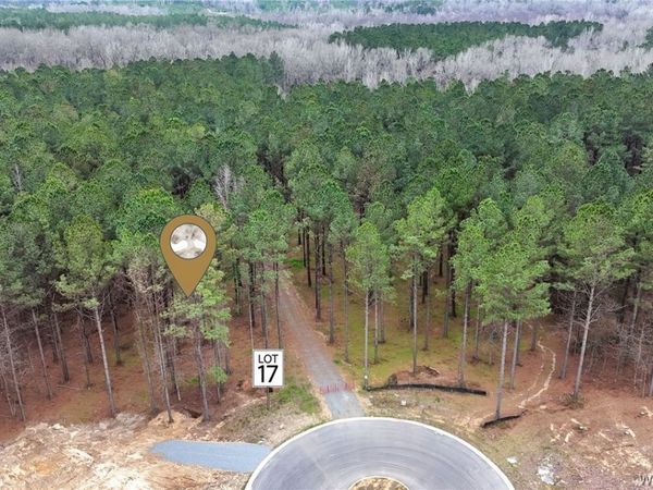 Lot #17 Stormi Way, Berry, AL 35546