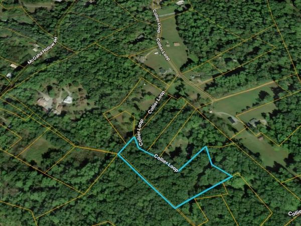 1419 Collier Loop , Dandridge, TN 37725