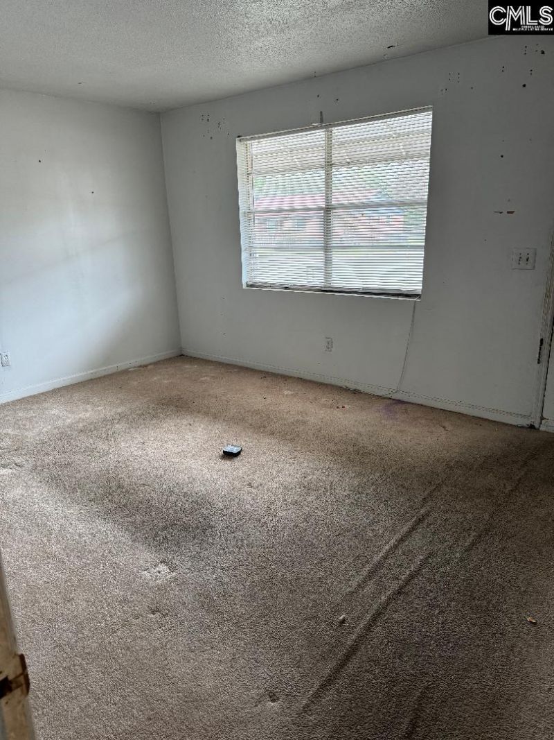 900 Cindy Drive  Photo 5