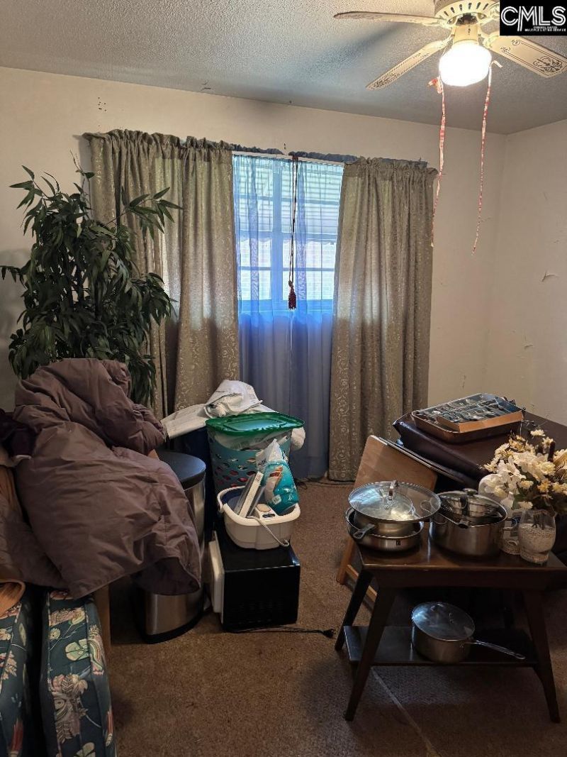 900 Cindy Drive  Photo 7