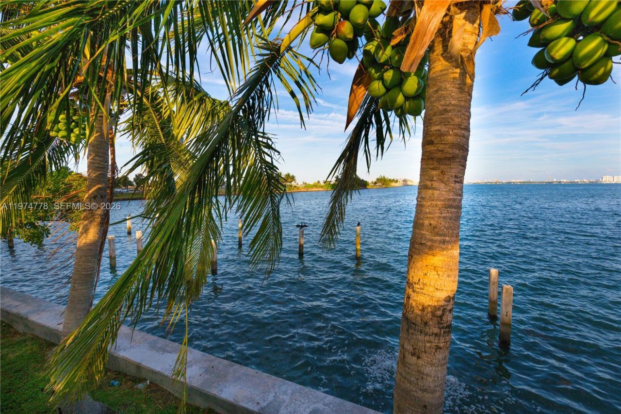 600 NE 36th St , Unit 619, Miami, FL 33137 Photo