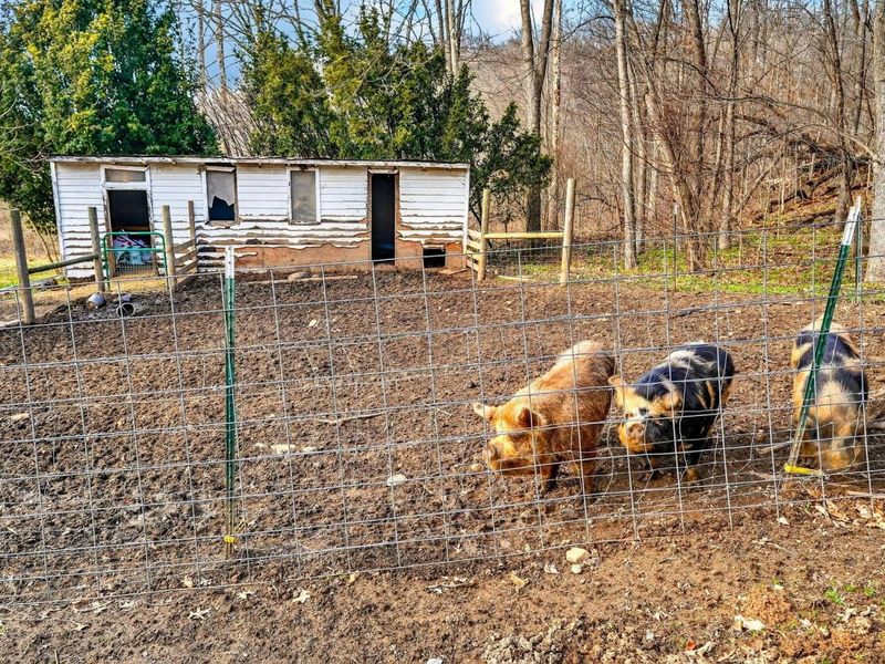 19062 State Route 327 , Wellston, OH 45692 Photo 50