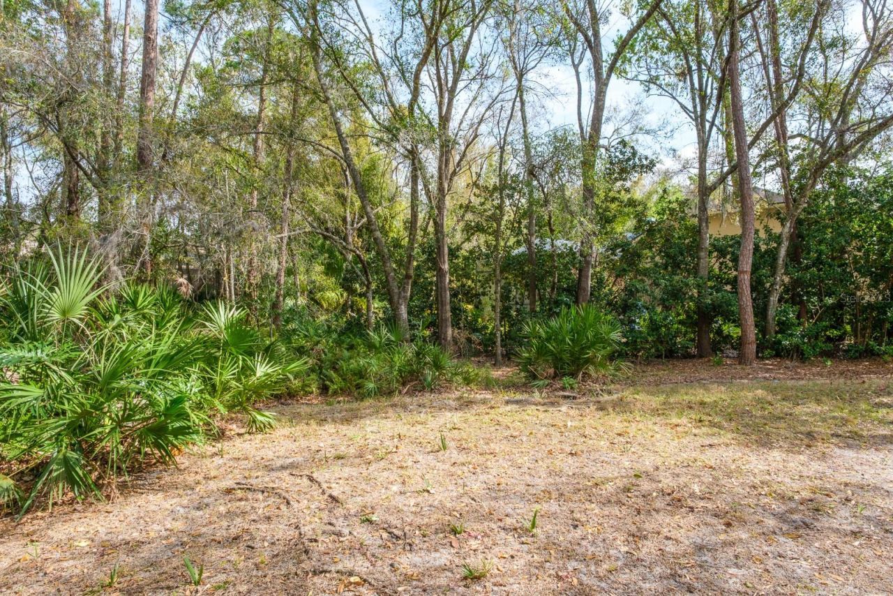 110 Woodglen Court, Oldsmar, FL 34677 Photo