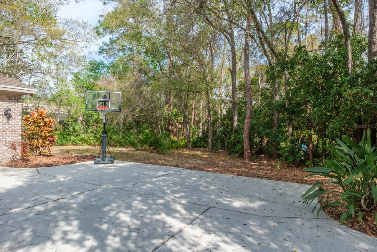 110 Woodglen Court, Oldsmar, FL 34677 Photo