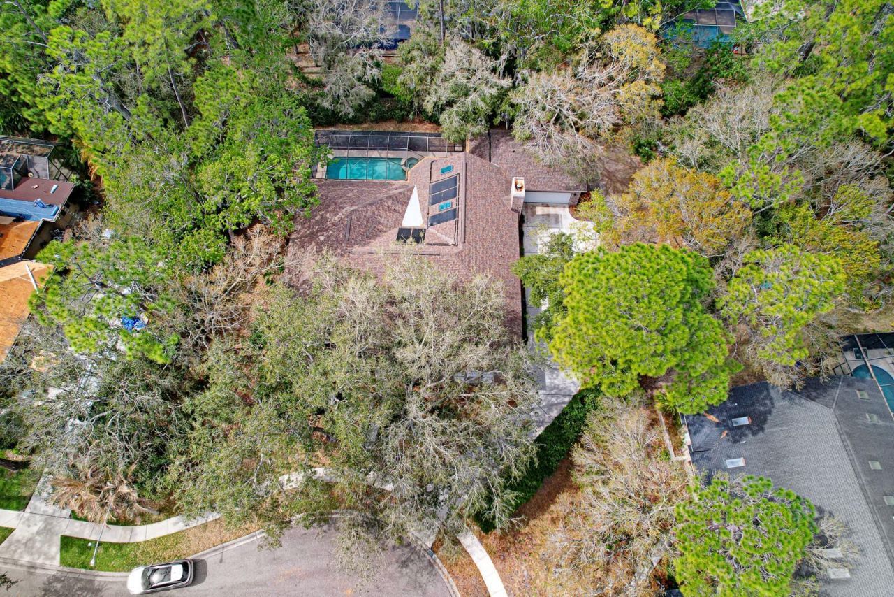 110 Woodglen Court, Oldsmar, FL 34677 Photo