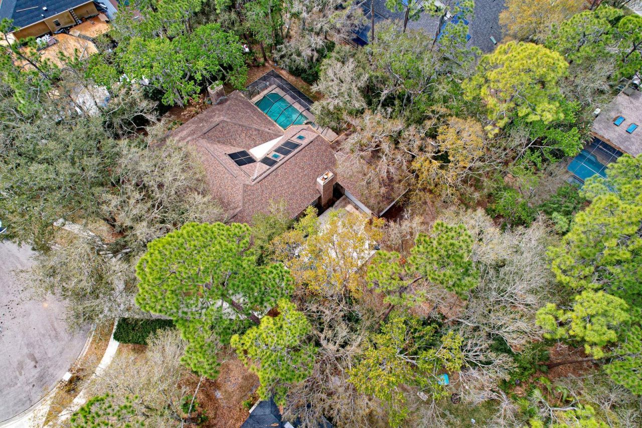 110 Woodglen Court, Oldsmar, FL 34677 Photo