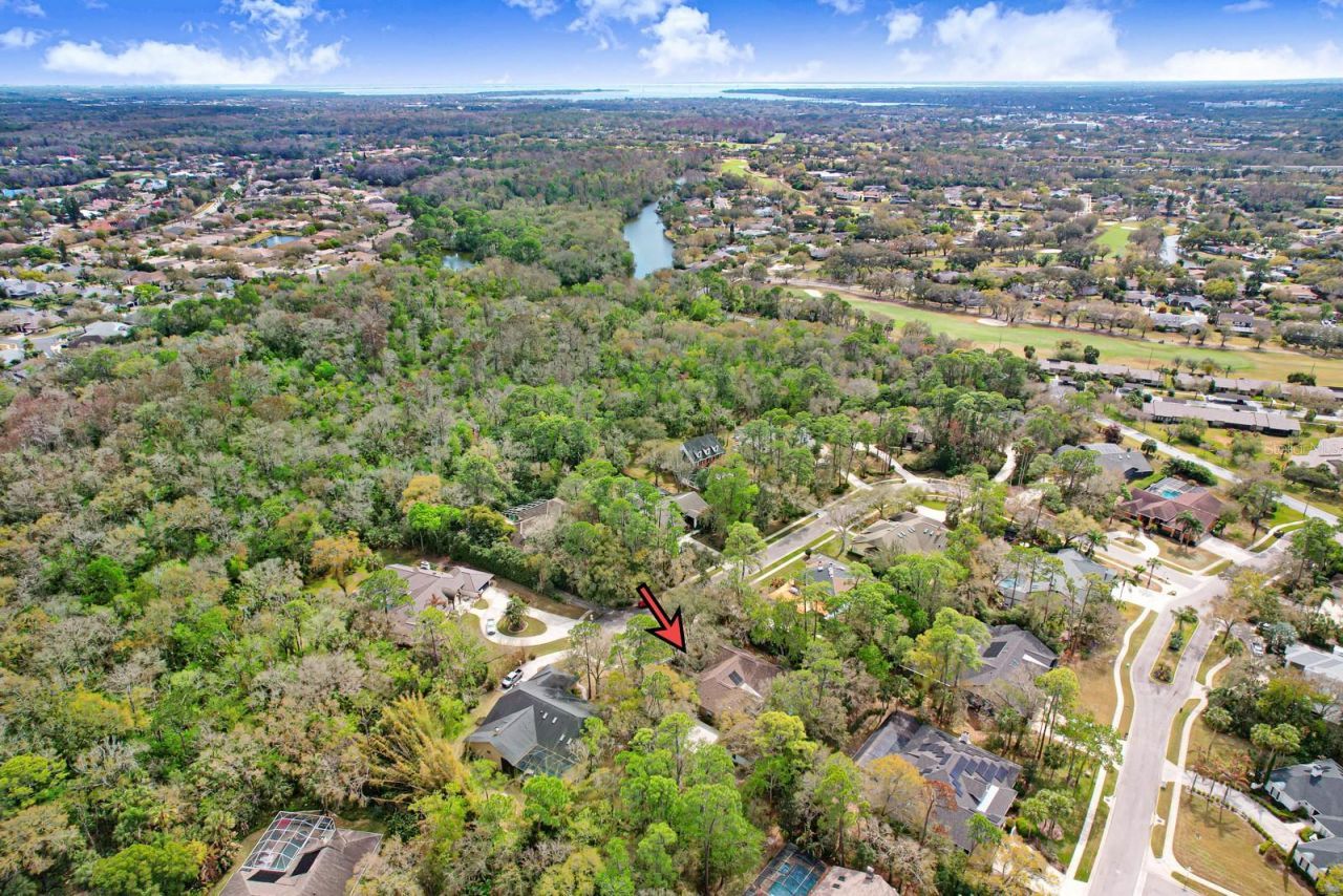 110 Woodglen Court, Oldsmar, FL 34677 Photo