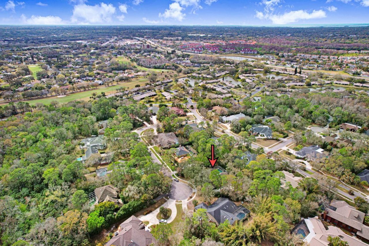 110 Woodglen Court, Oldsmar, FL 34677 Photo