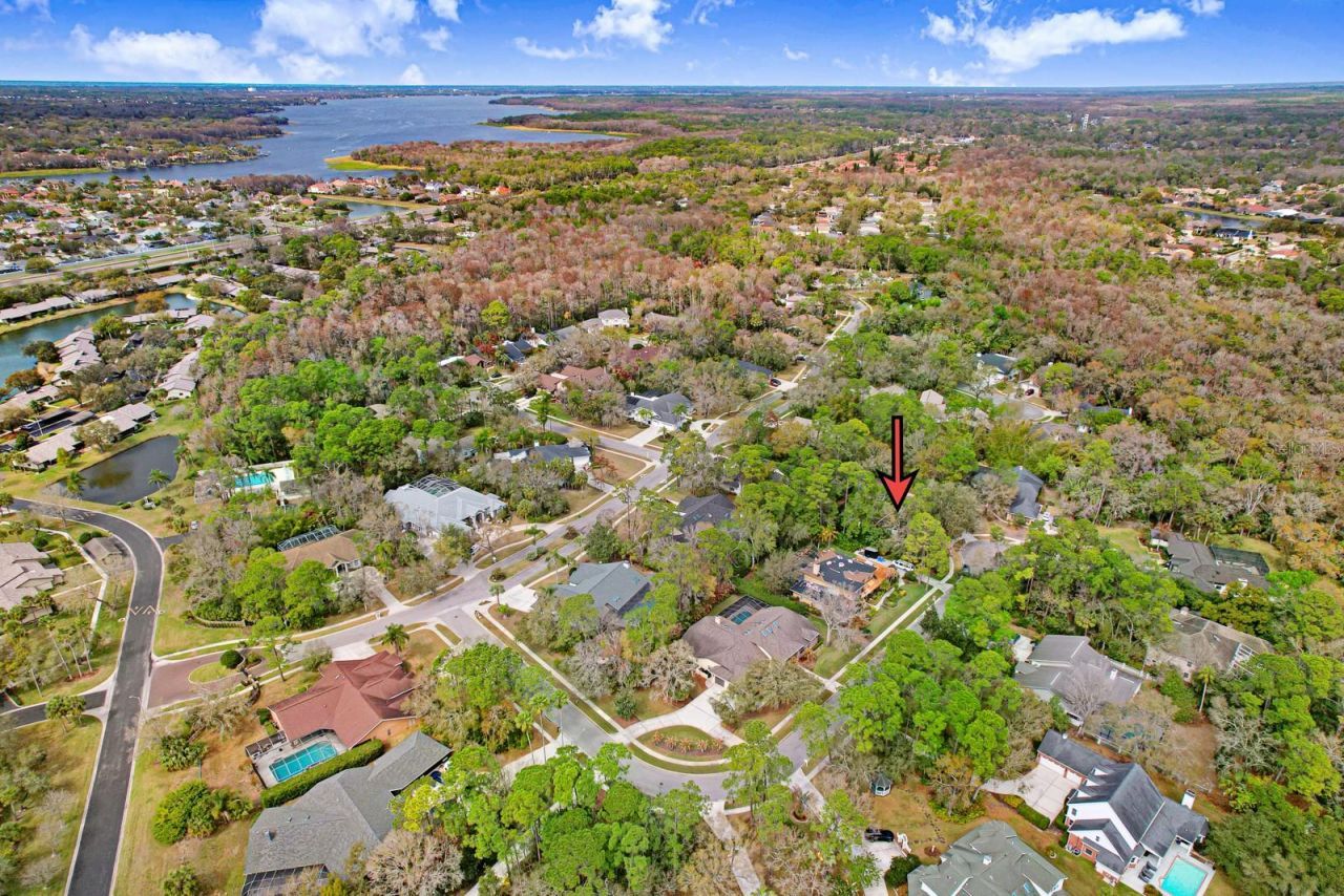 110 Woodglen Court, Oldsmar, FL 34677 Photo