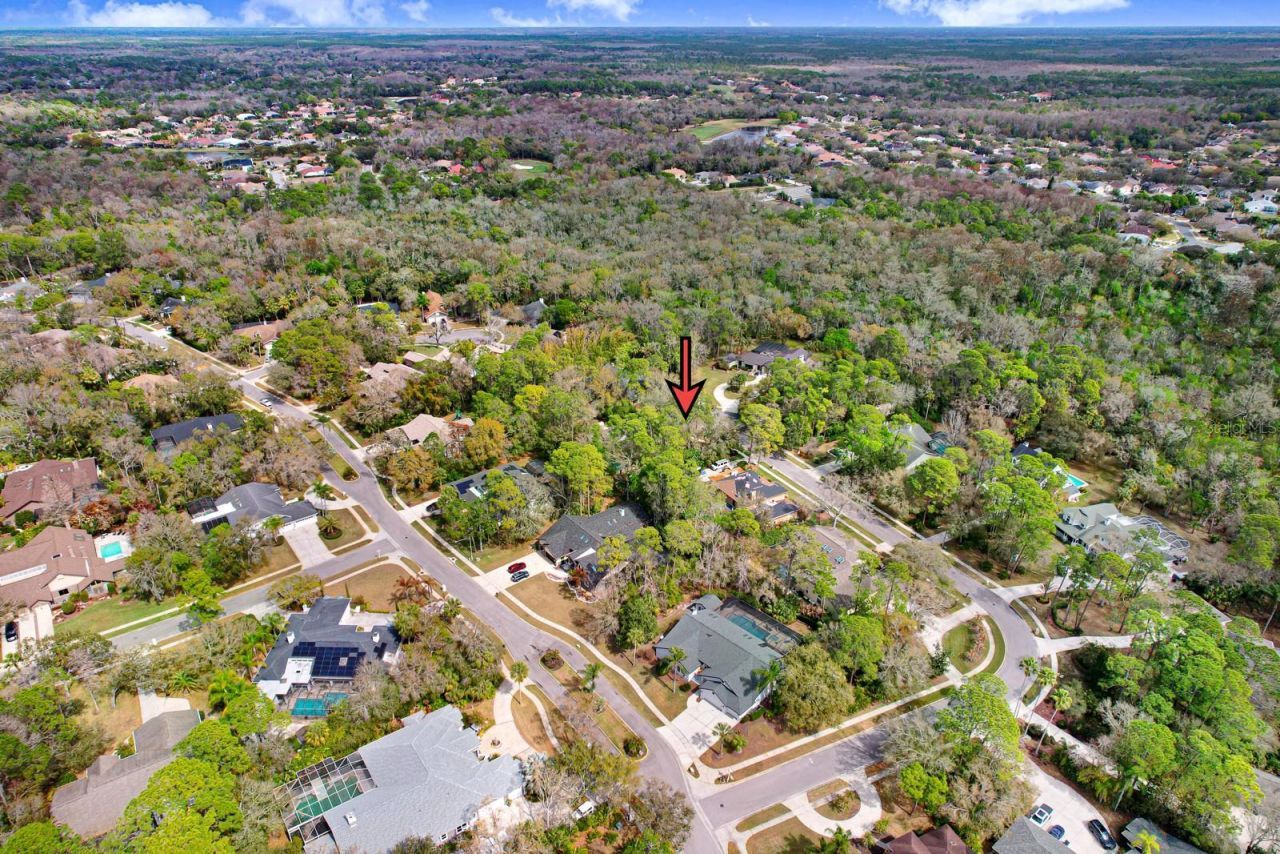 110 Woodglen Court, Oldsmar, FL 34677 Photo