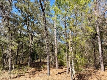 TBA SE 66TH PLACE , MORRISTON, FL 32668