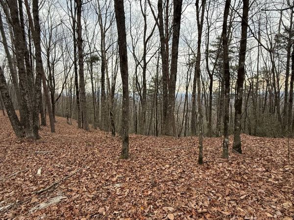 LOT 7 Westmoreland Road, Cleveland, GA 30528