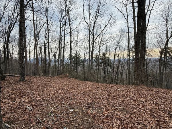 LOT 8 Westmoreland Road, Cleveland, GA 30528
