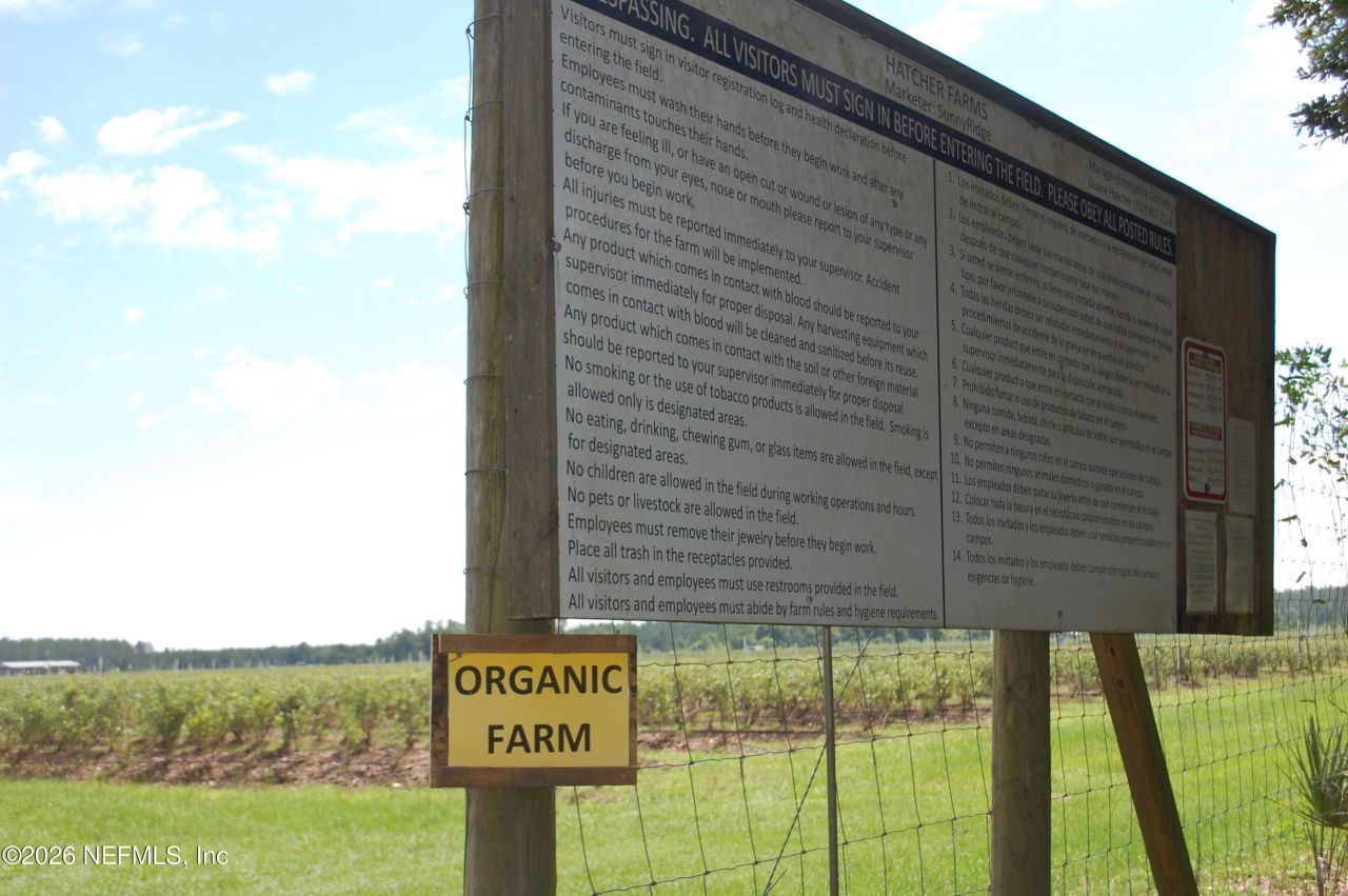 18811 SE 243rd Street, Hawthorne, FL 32640 Photo