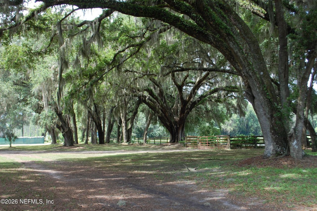 18811 SE 243rd Street, Hawthorne, FL 32640 Photo