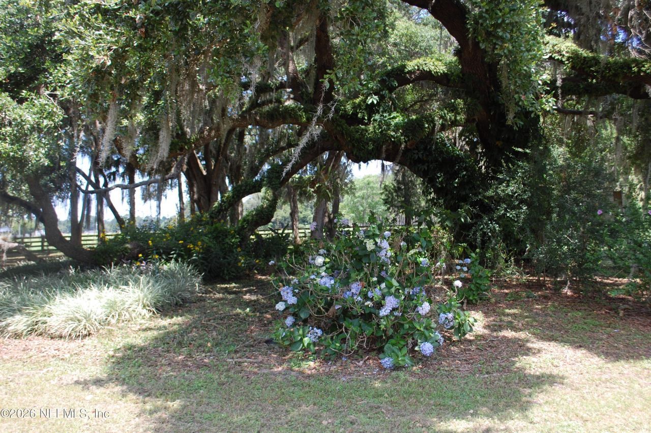 18811 SE 243rd Street, Hawthorne, FL 32640 Photo