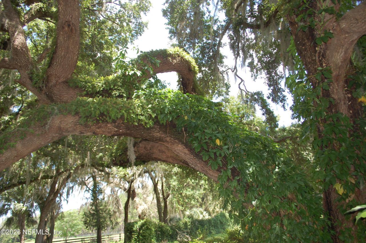 18811 SE 243rd Street, Hawthorne, FL 32640 Photo