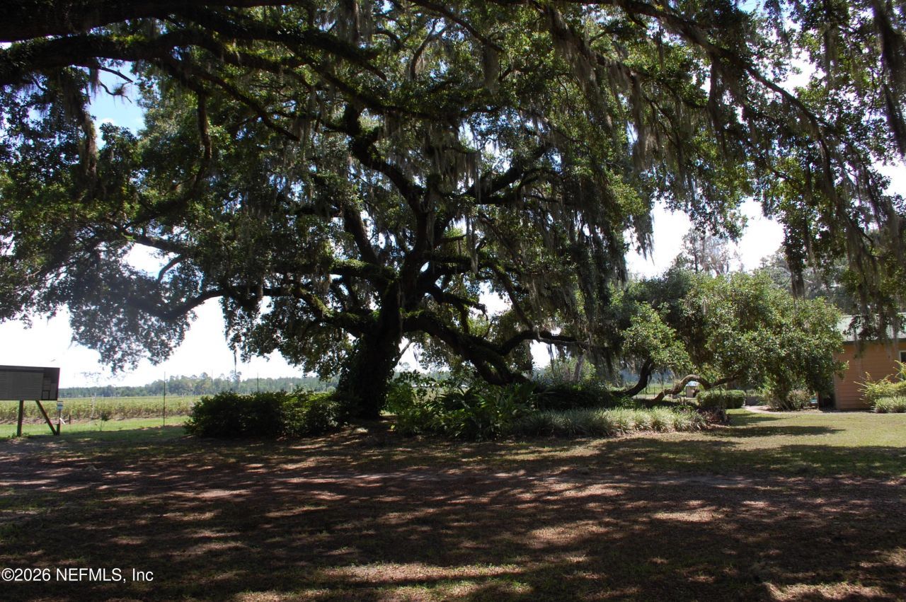 18811 SE 243rd Street, Hawthorne, FL 32640 Photo