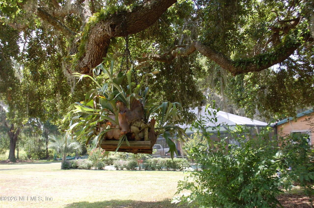 18811 SE 243rd Street, Hawthorne, FL 32640 Photo