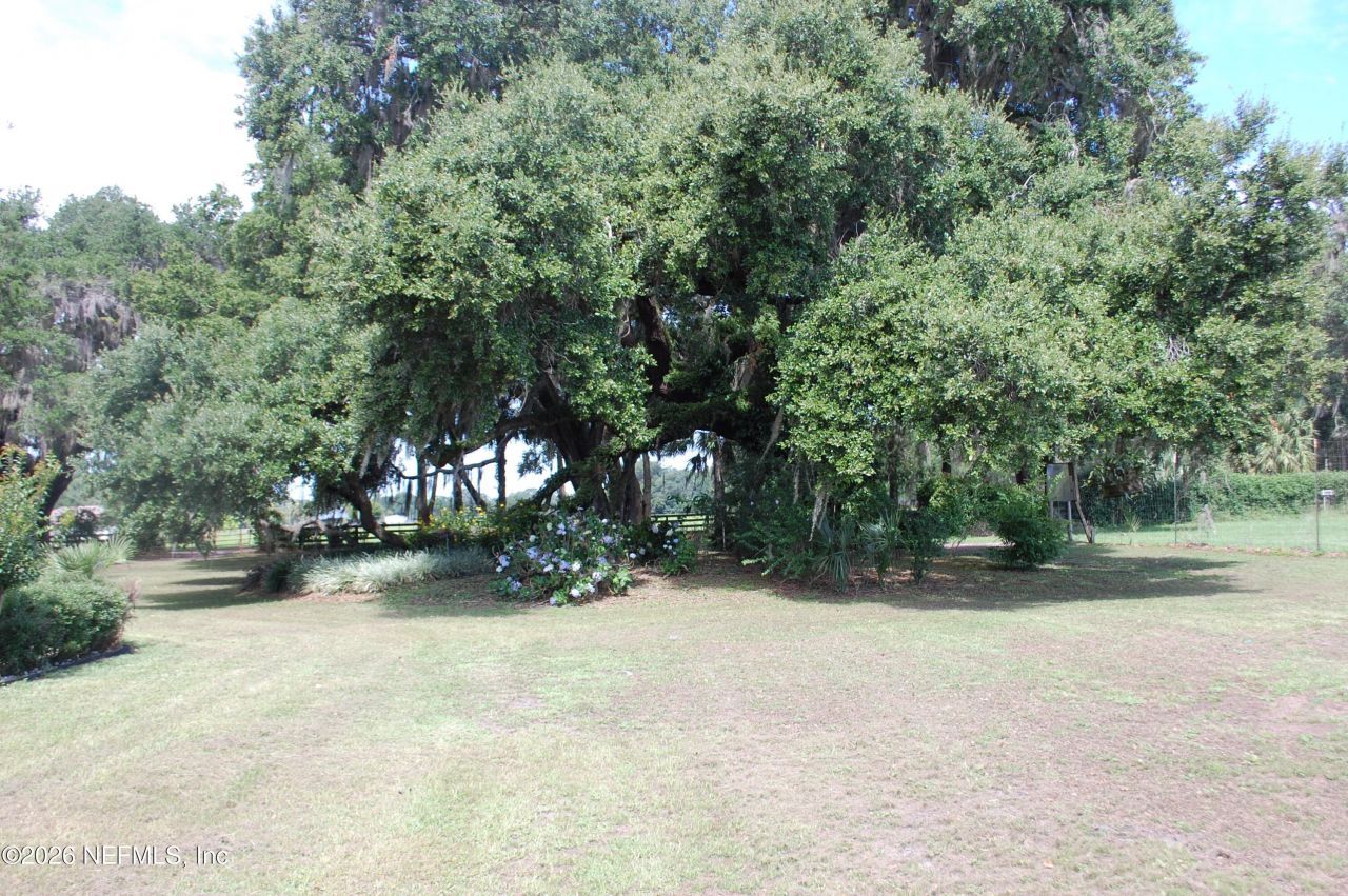 18811 SE 243rd Street, Hawthorne, FL 32640 Photo