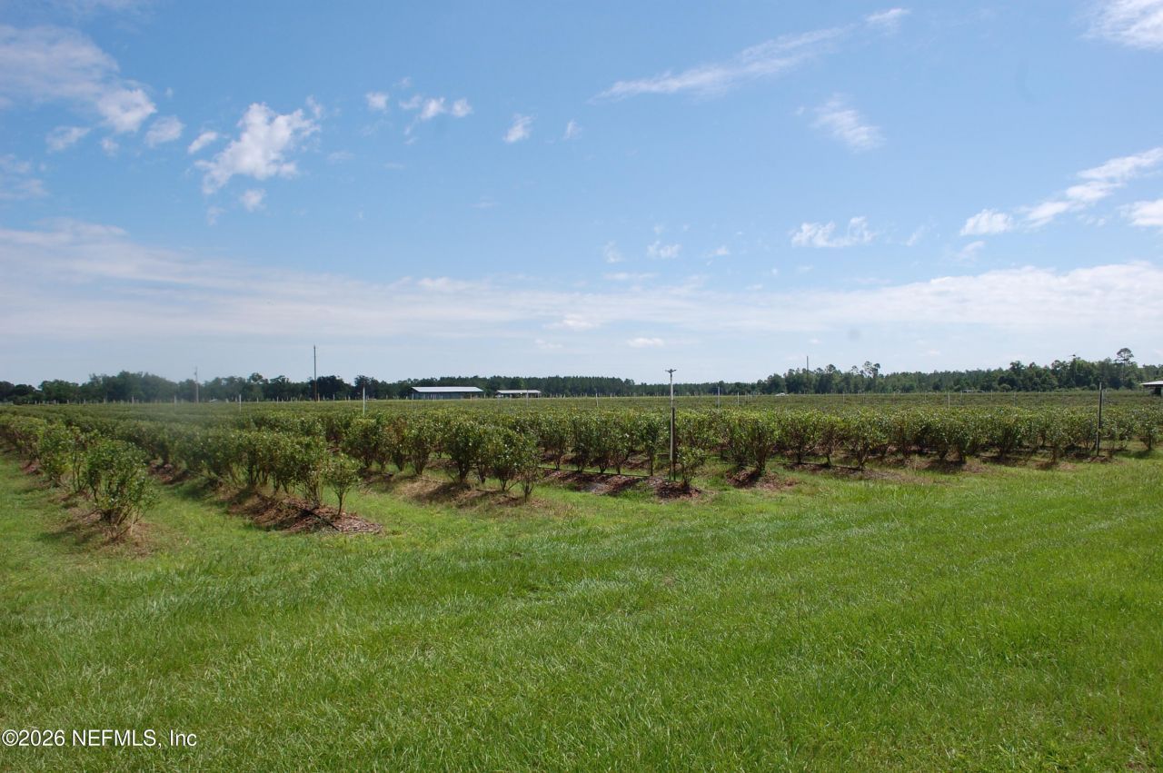 18811 SE 243rd Street, Hawthorne, FL 32640 Photo