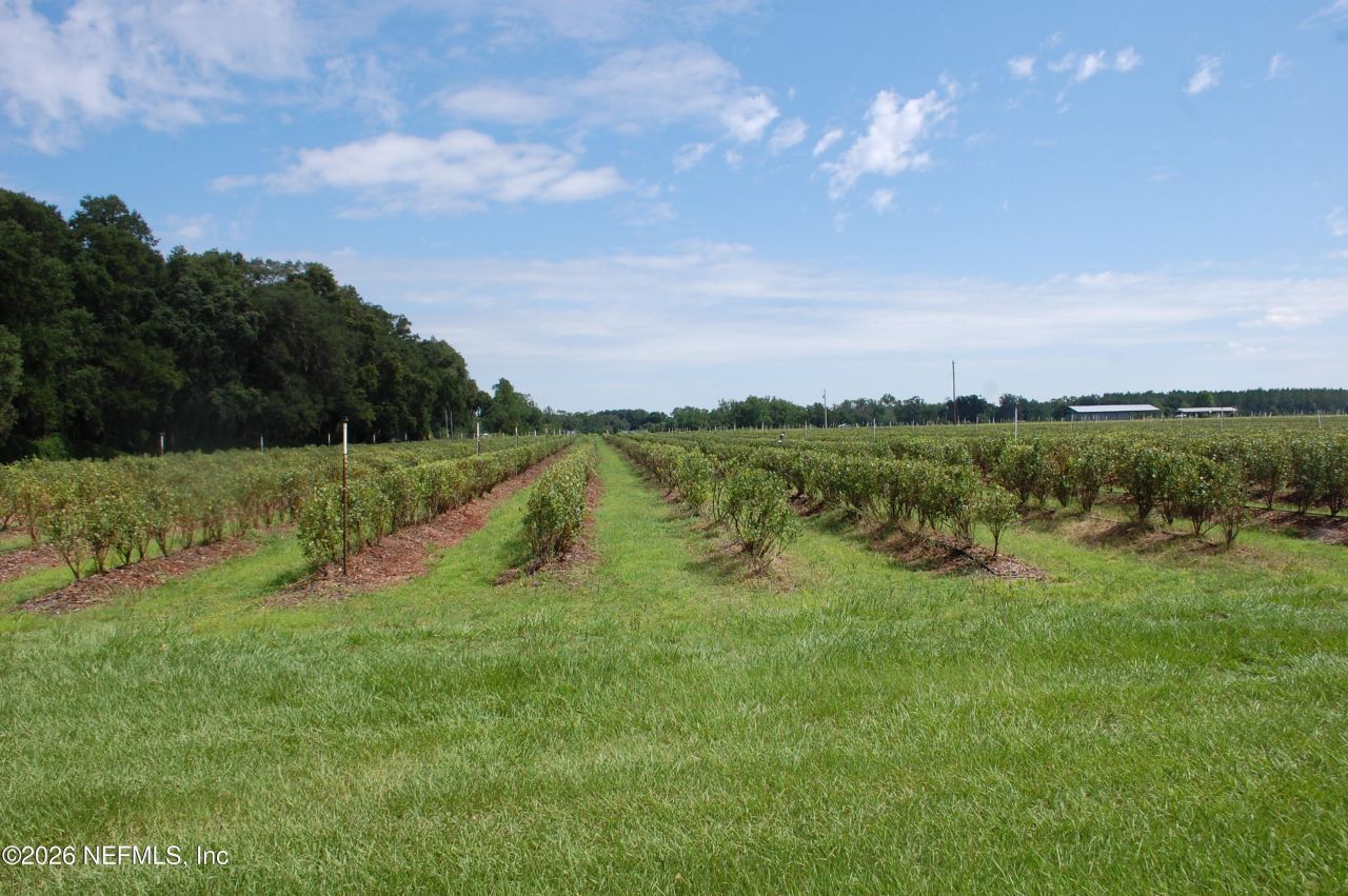 18811 SE 243rd Street, Hawthorne, FL 32640 Photo