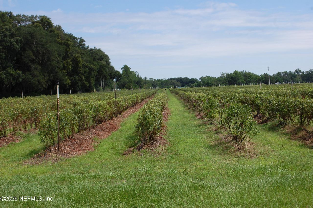 18811 SE 243rd Street, Hawthorne, FL 32640 Photo