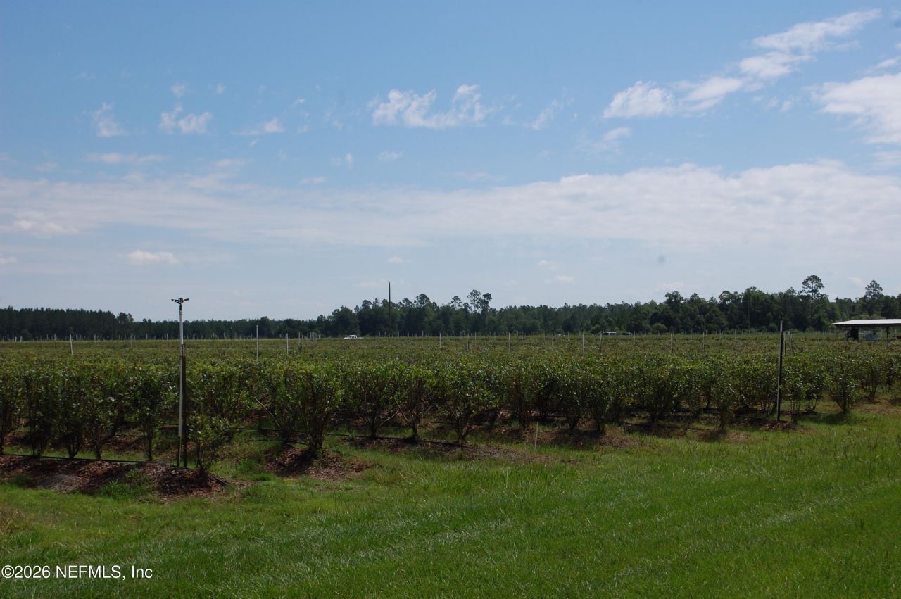 18811 SE 243rd Street, Hawthorne, FL 32640 Photo