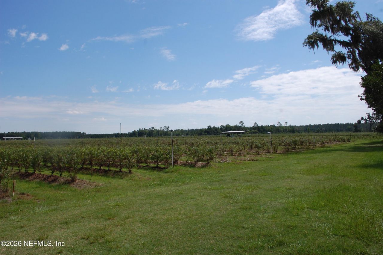 18811 SE 243rd Street, Hawthorne, FL 32640 Photo