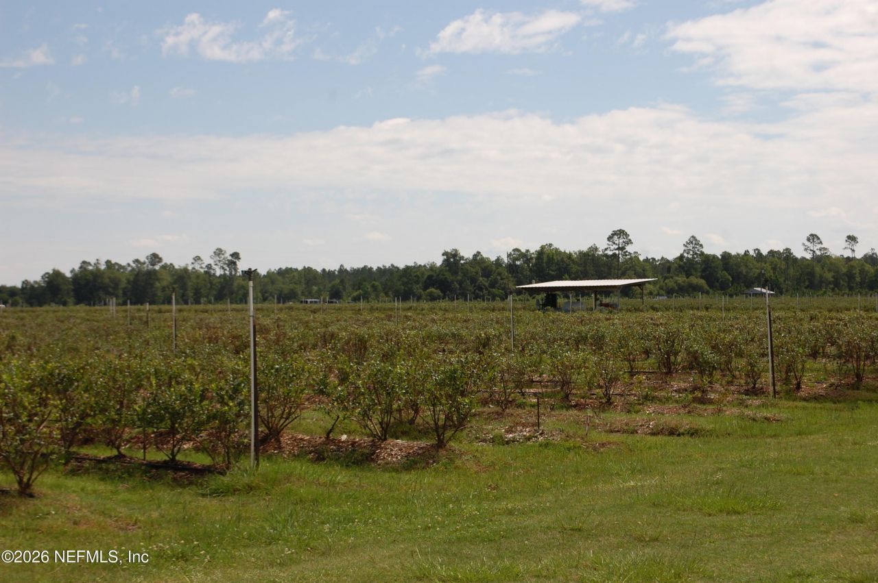 18811 SE 243rd Street, Hawthorne, FL 32640 Photo