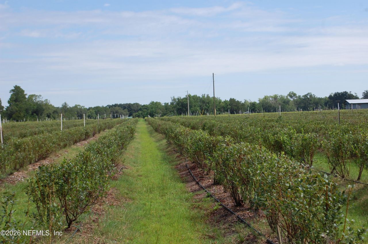 18811 SE 243rd Street, Hawthorne, FL 32640 Photo