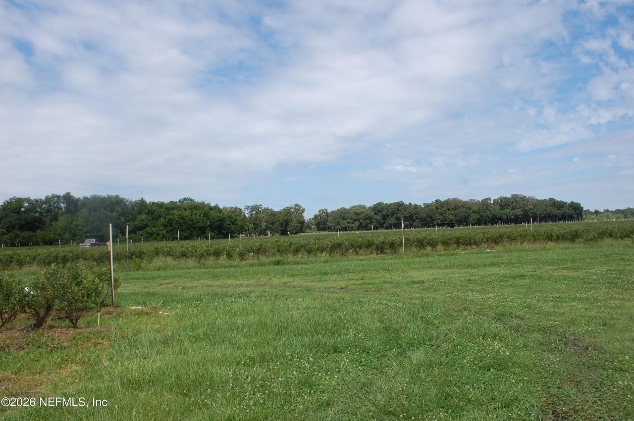 18811 SE 243rd Street, Hawthorne, FL 32640 Photo