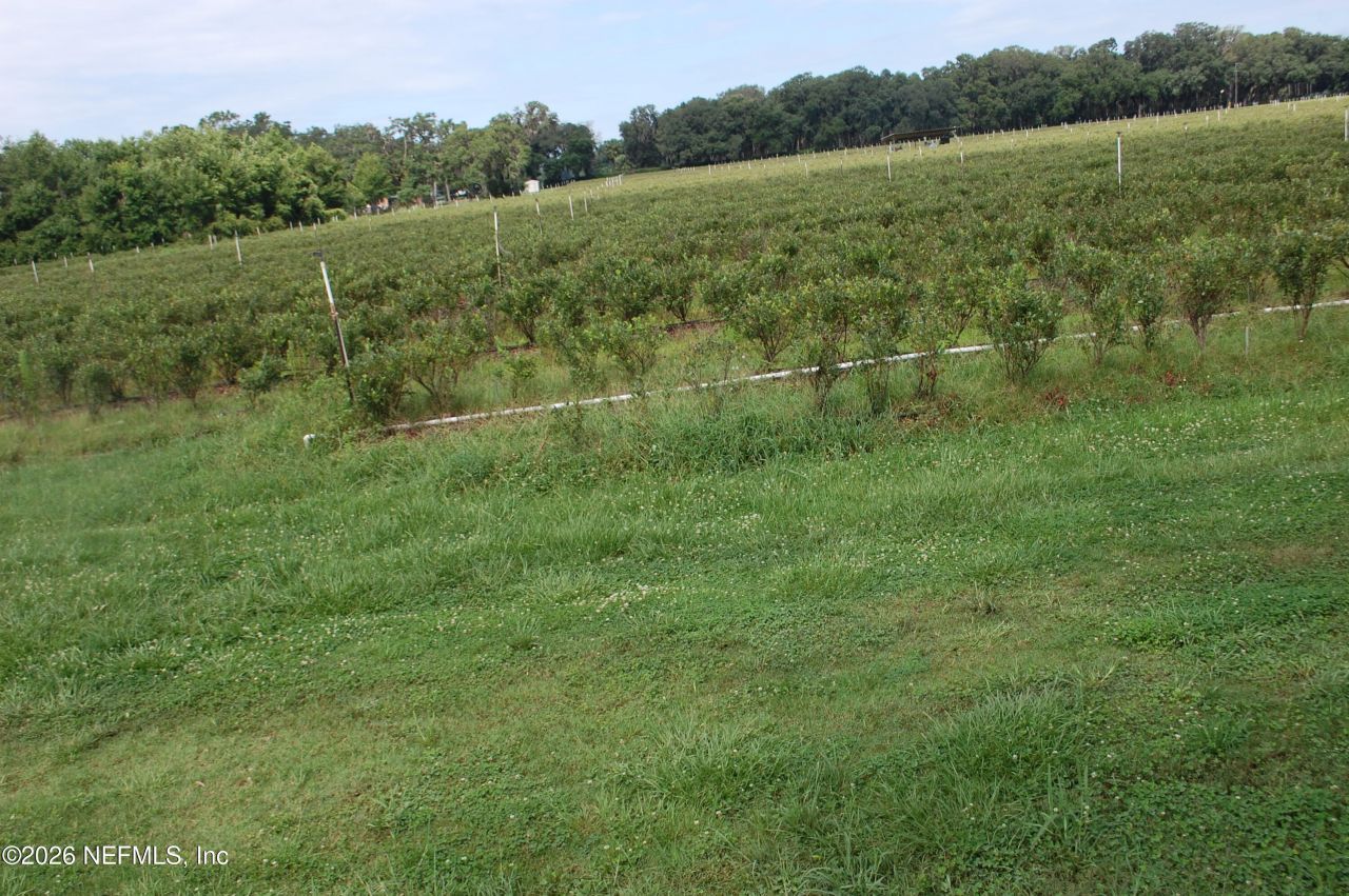 18811 SE 243rd Street, Hawthorne, FL 32640 Photo