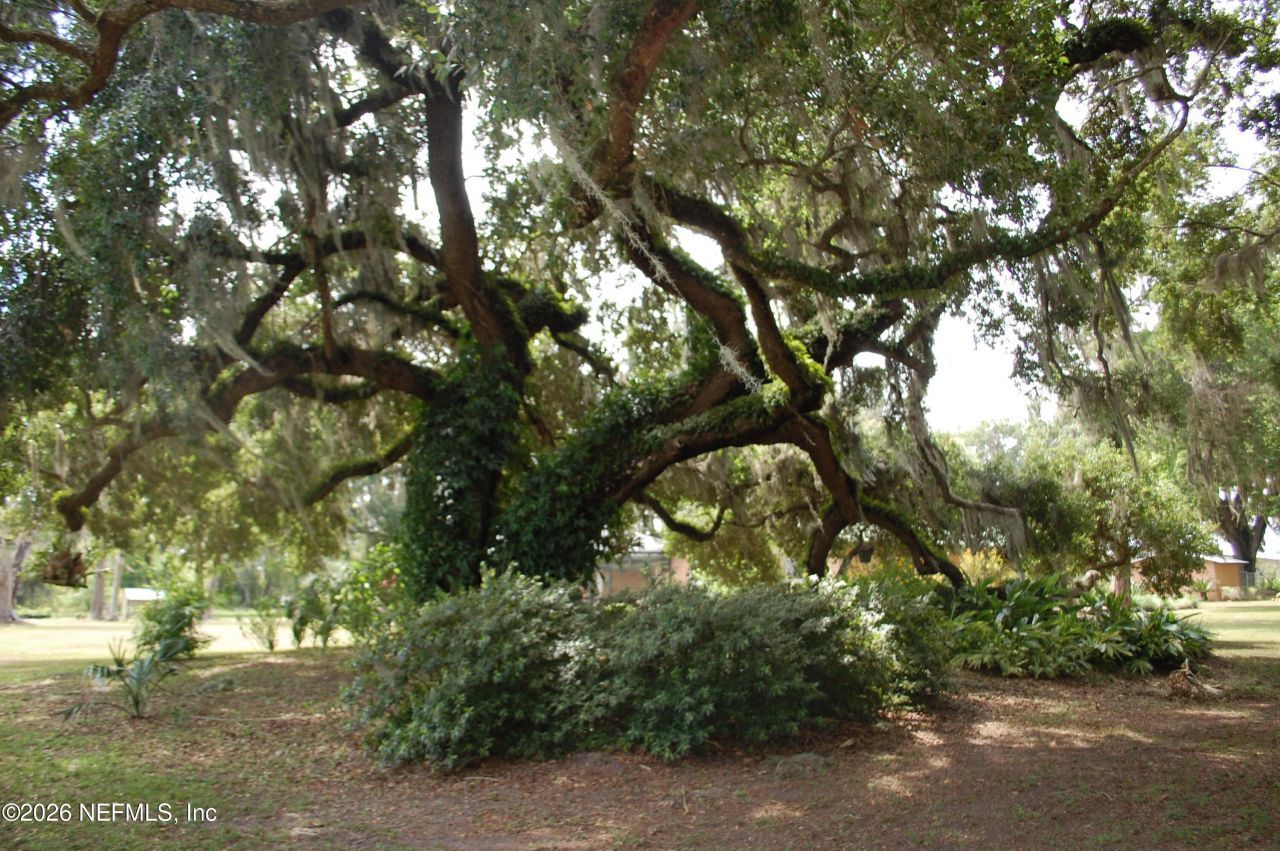 18811 SE 243rd Street, Hawthorne, FL 32640 Photo