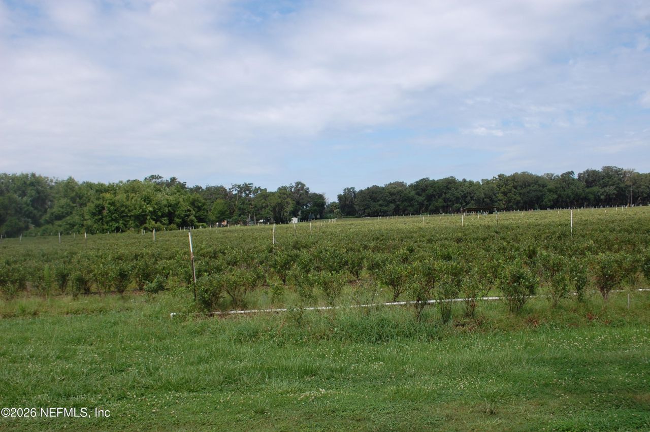 18811 SE 243rd Street, Hawthorne, FL 32640 Photo