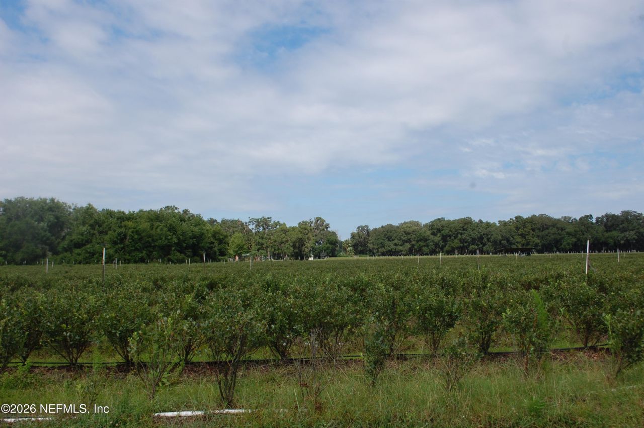 18811 SE 243rd Street, Hawthorne, FL 32640 Photo