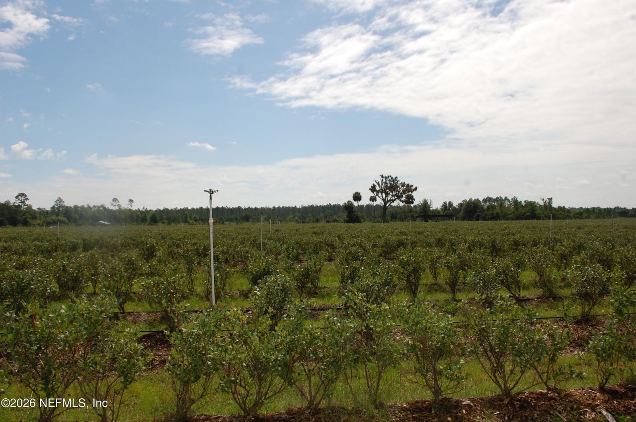 18811 SE 243rd Street, Hawthorne, FL 32640 Photo