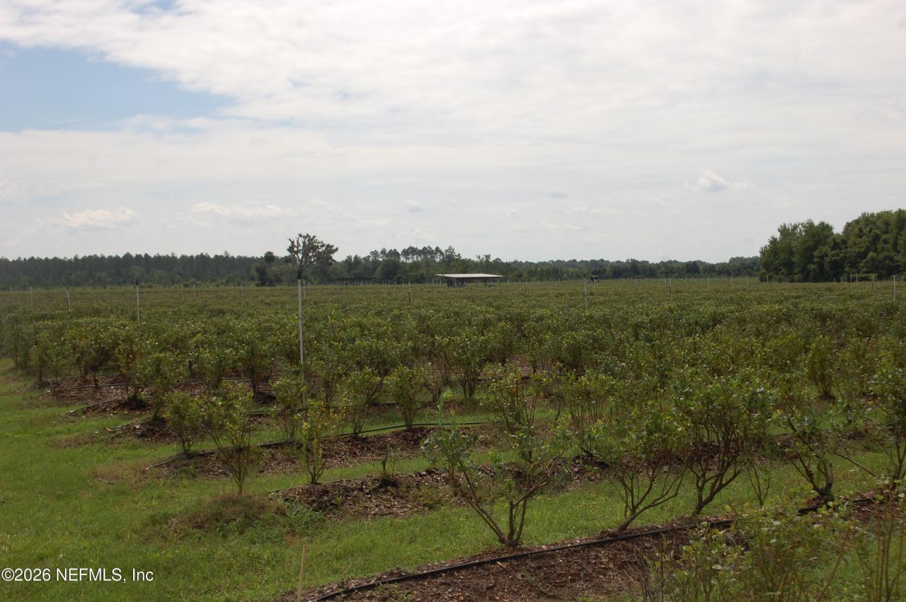 18811 SE 243rd Street, Hawthorne, FL 32640 Photo